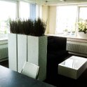 witte zuil gras-1